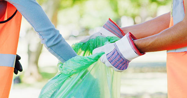 istockphoto 2260217547 612x612